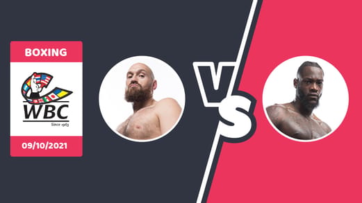 Fury vs Wilder pronostic
